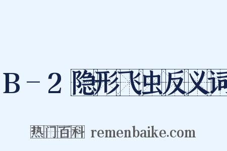 B-2隐形飞虫反义词是什么意思的图片